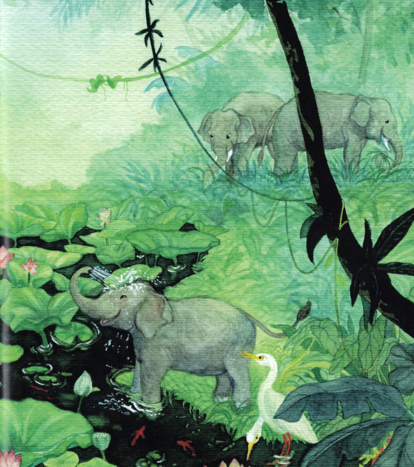 🫧¿Cómo se bañan los animales? 🐘🐳🐥