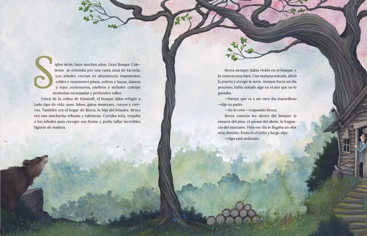 El gran libro de los dragones. 🐉