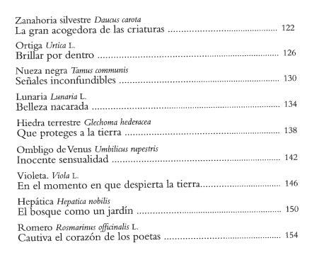 En el camino de las plantas 🪴💐🐝