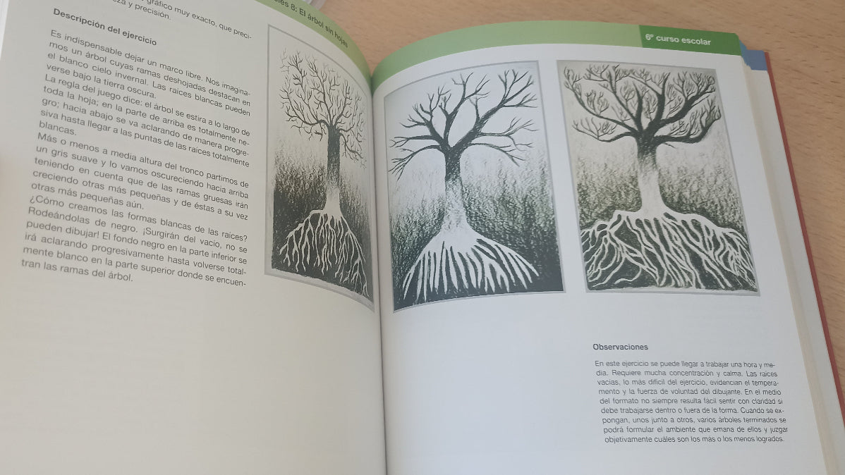 Pintura y dibujo de 1º a 8º curso escolar, material para padres y docentes. 2ª Edición