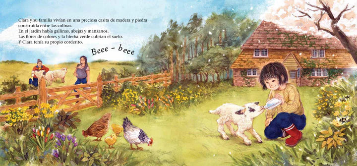 Clara y el ciclo de la lana 🐑🧣