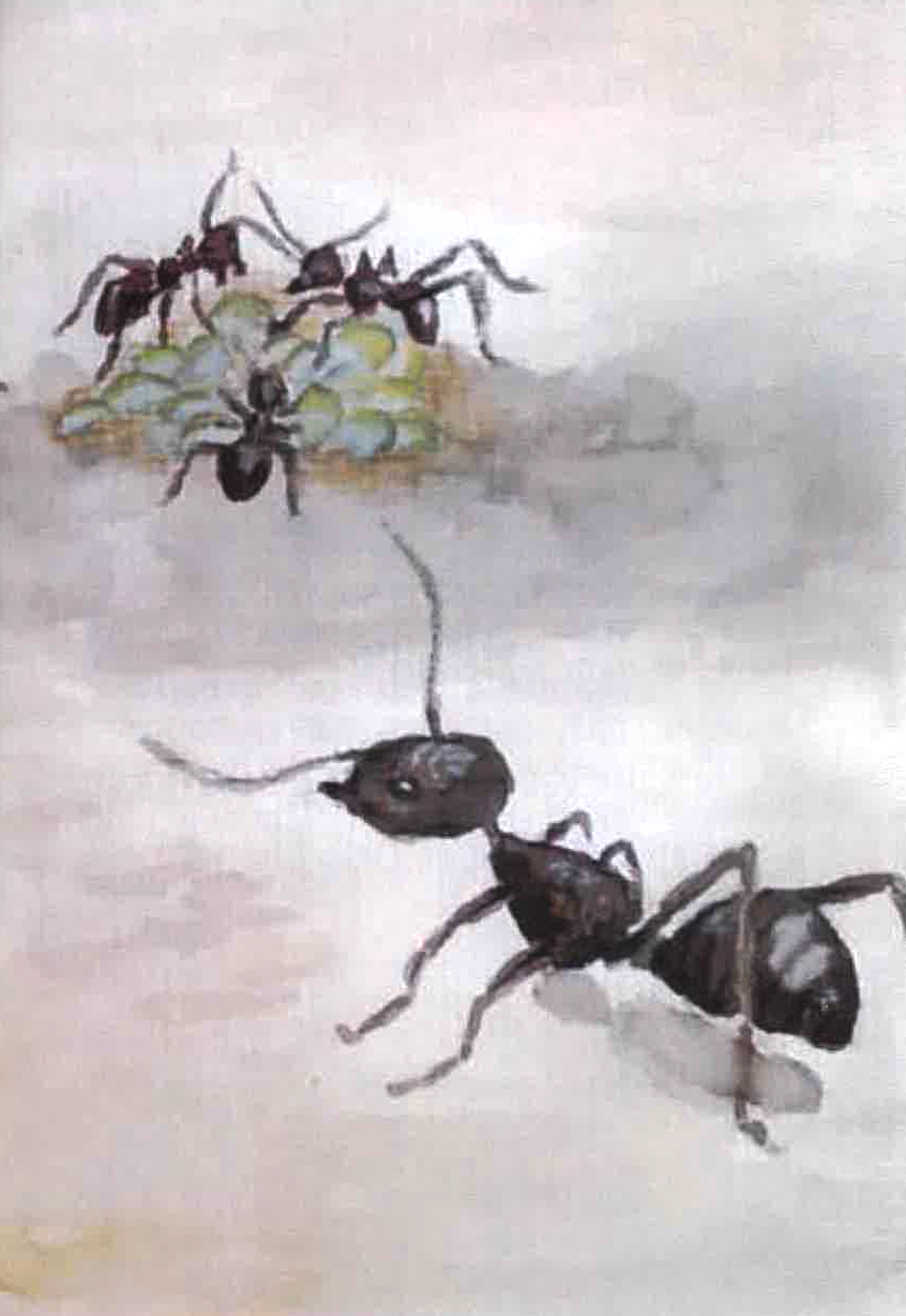 El hormiguero de Laniakea. CUENTO EN MAYÚSCULAS.