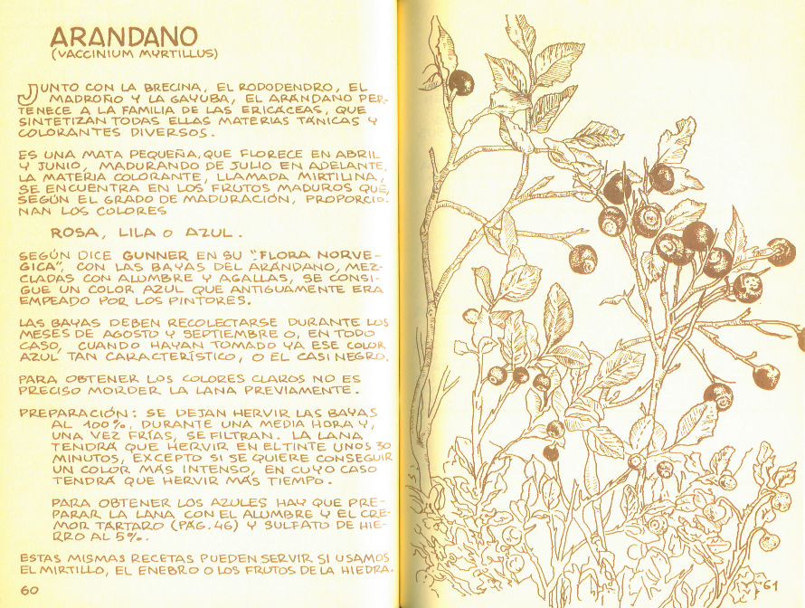 Las Plantas Tintóreas.