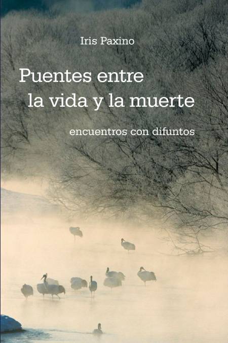 Puentes entre la vida y la muerte. Encuentros con los difuntos.