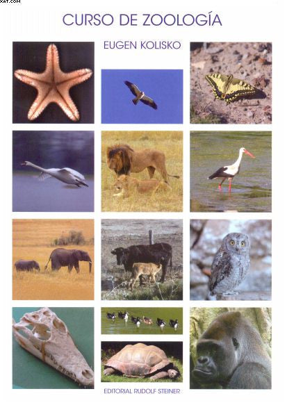 CURSO DE ZOOLOGÍA.