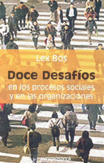 DOCE DESAFIOS, en los procesos sociales y en las organizaciones.