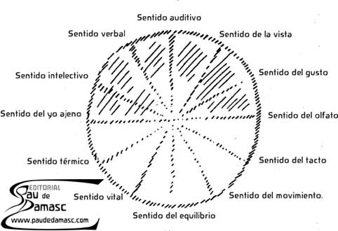 Los doce sentidos del ser humano.