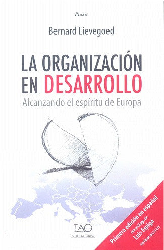LA ORGANIZACION EN DESARROLLO