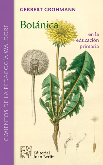 Botánica en la educación primaria 🌱🌻