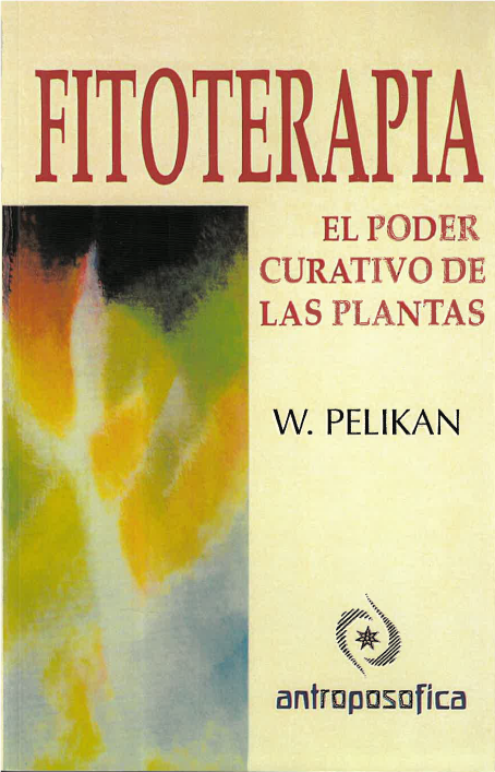 Fitoterapia: El poder curativo de las plantas