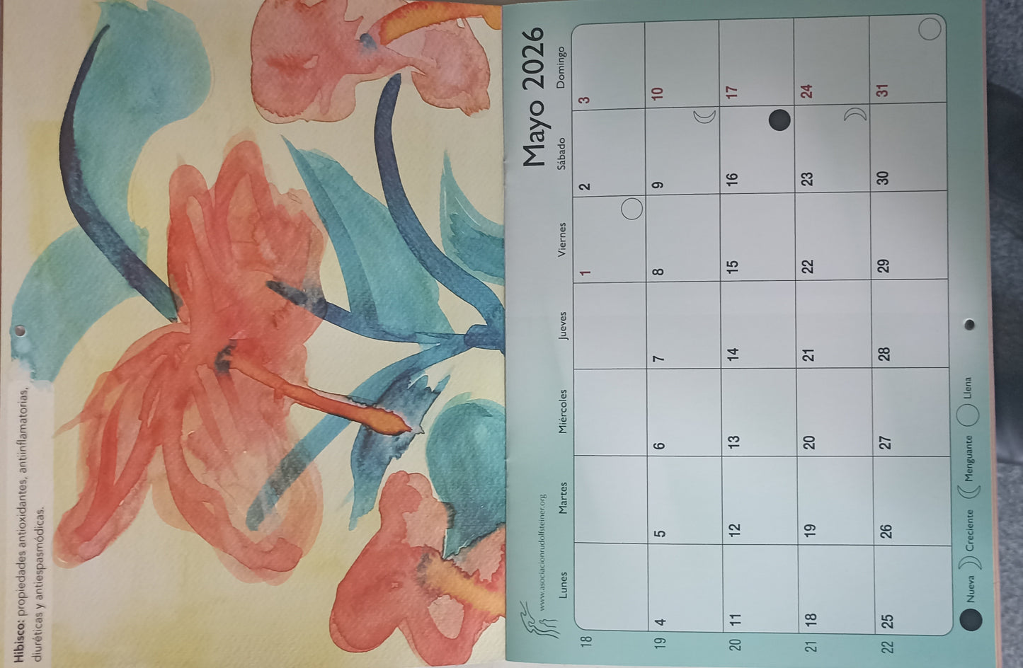 CALENDARIO ALMANAQUE 2026 BENÉFICO - TALLER RAFAEL -