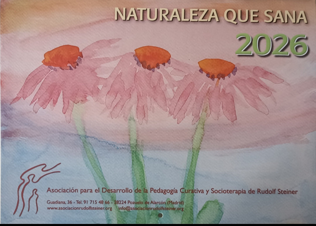 CALENDARIO ALMANAQUE 2026 BENÉFICO - TALLER RAFAEL -