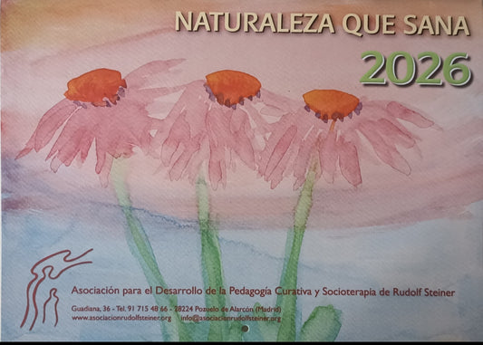CALENDARIO ALMANAQUE 2026 BENÉFICO - TALLER RAFAEL -