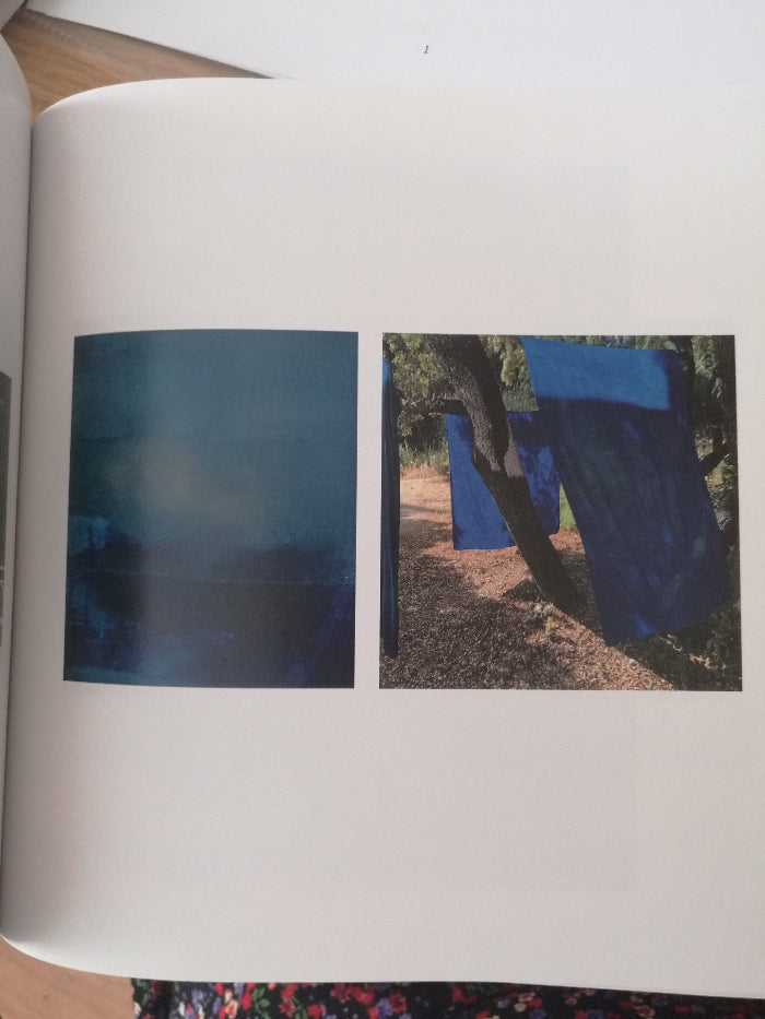 Sentir el color - Tintes naturales