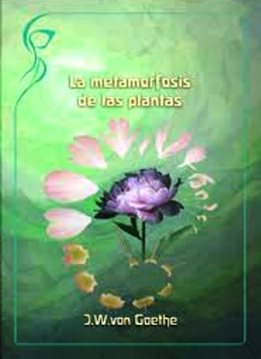 La metamorfosis de las plantas
