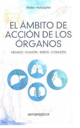 EL ÁMBITO DE ACCIÓN DE LOS ÓRGANOS. Hígado - Pulmón - Riñón - Corazón