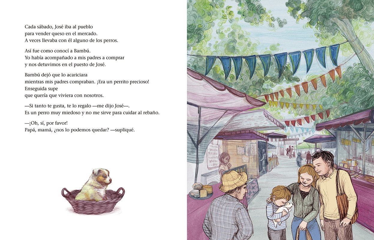 Bambú.