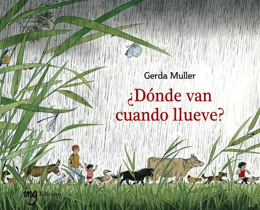 ¿Dónde van cuando llueve?