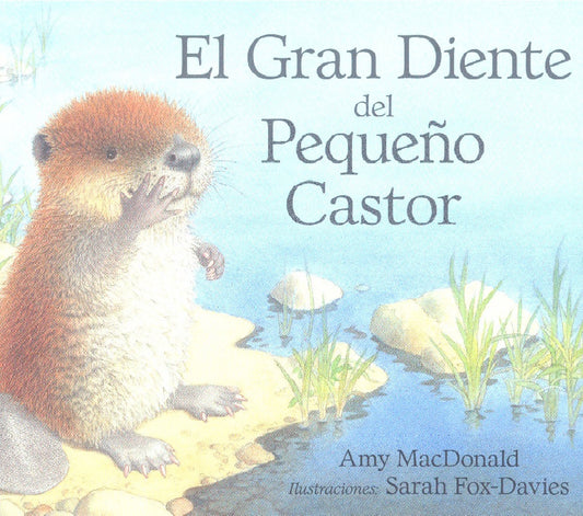 El gran diente del pequeño Castor