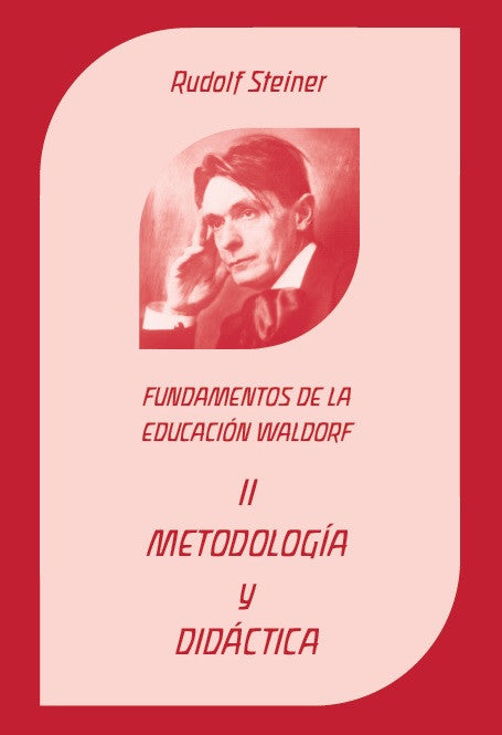 Metodología y didáctica. Fundamentos. Tomo II