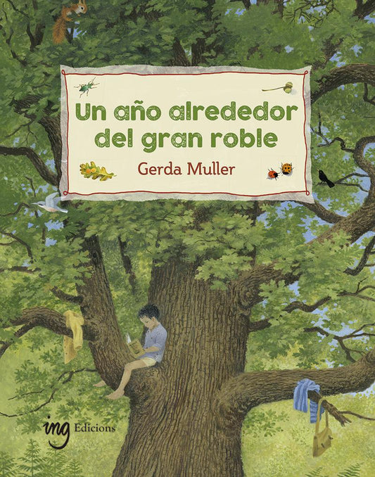 🌳Un año alrededor del gran roble 🌳